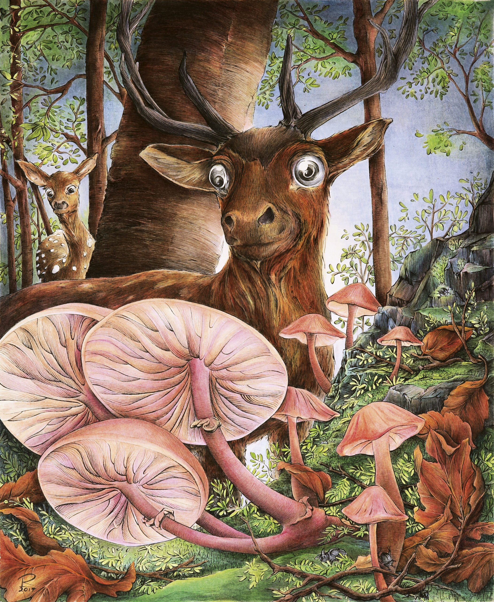 Finding Mushrooms